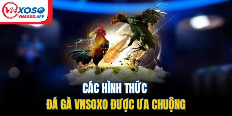 Các hình thức đá gà VNXOSO được ưa chuộng