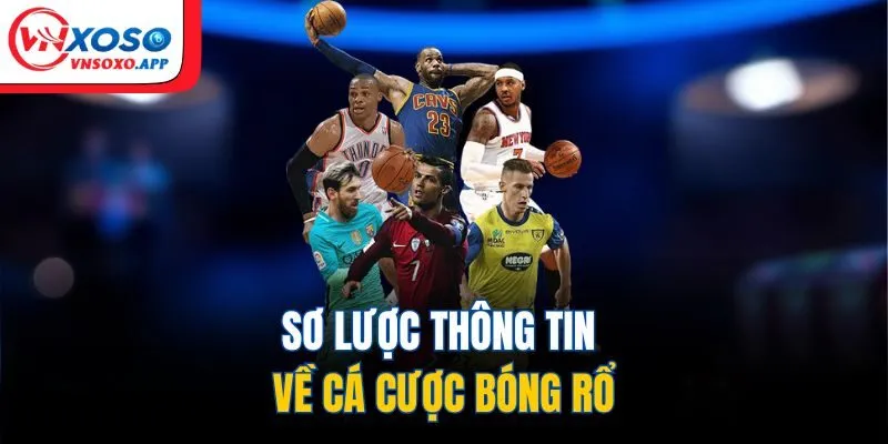 Sơ lược thông tin về cá cược bóng rổ