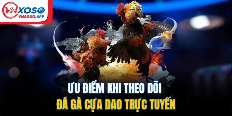 Ưu điểm khi theo dõi đá gà cựa dao trực tuyến